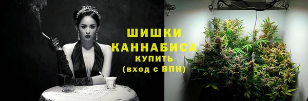 дмт Арсеньев